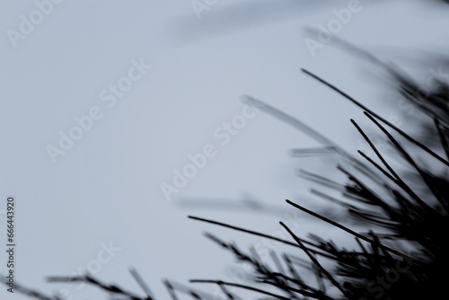 Black and white abstract wallpaper