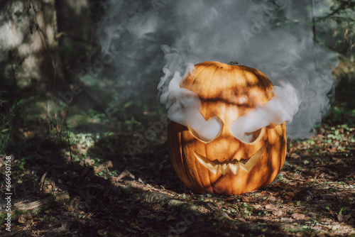 Smoke releasing from carved Jack O' Lantern in forest photo