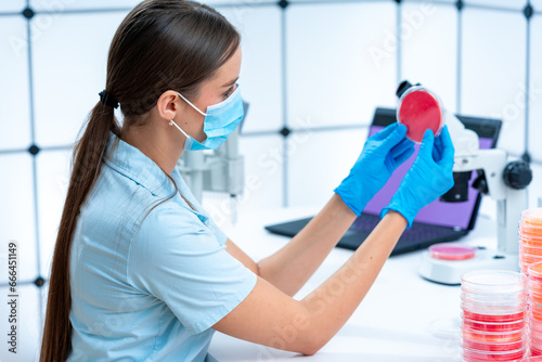 Fotografia Food and beverage testing: Petri dishes are employed to test food and
