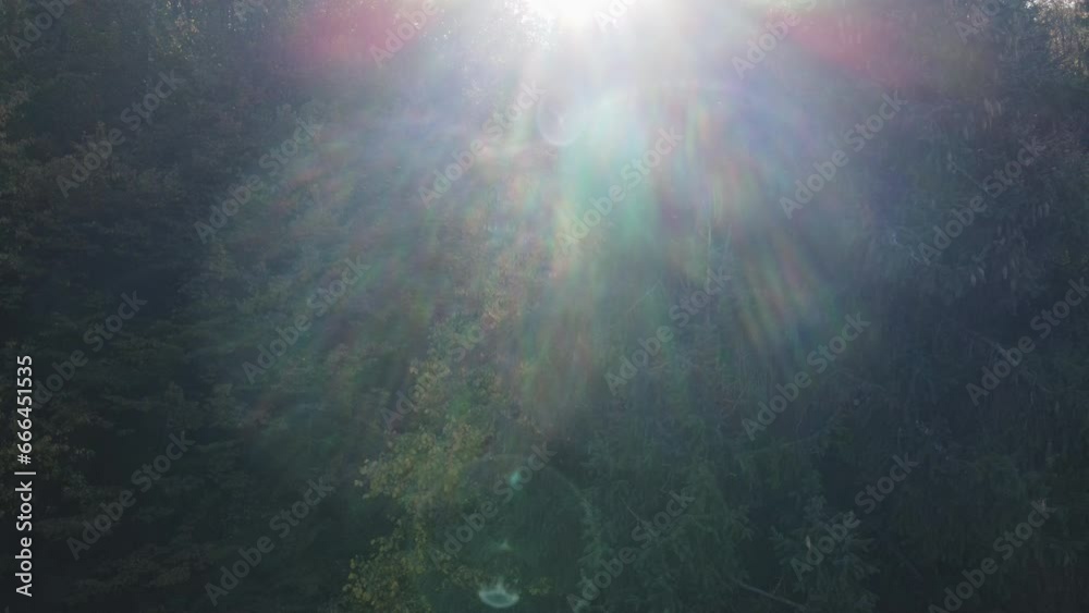 Cinematic aerial footage of beautiful autumn forest landscape during sunset. Big mixed woods in great wild nature. Gentle sunlight beams create light leaks. Travel destination idyllic nature concept