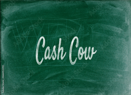 Fotografie Cash Cow Essential Business English Phrases and Idioms