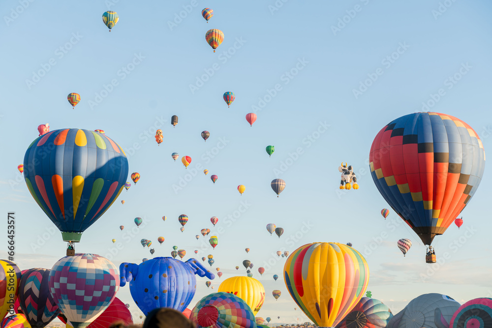 Obraz premium hot air balloon