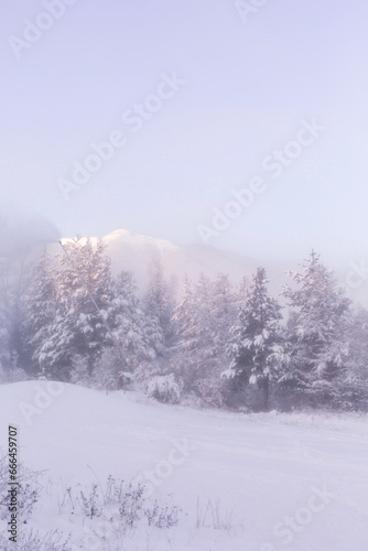 Bansko, Bulgaria resort panorama with snow cannon © Nataliya