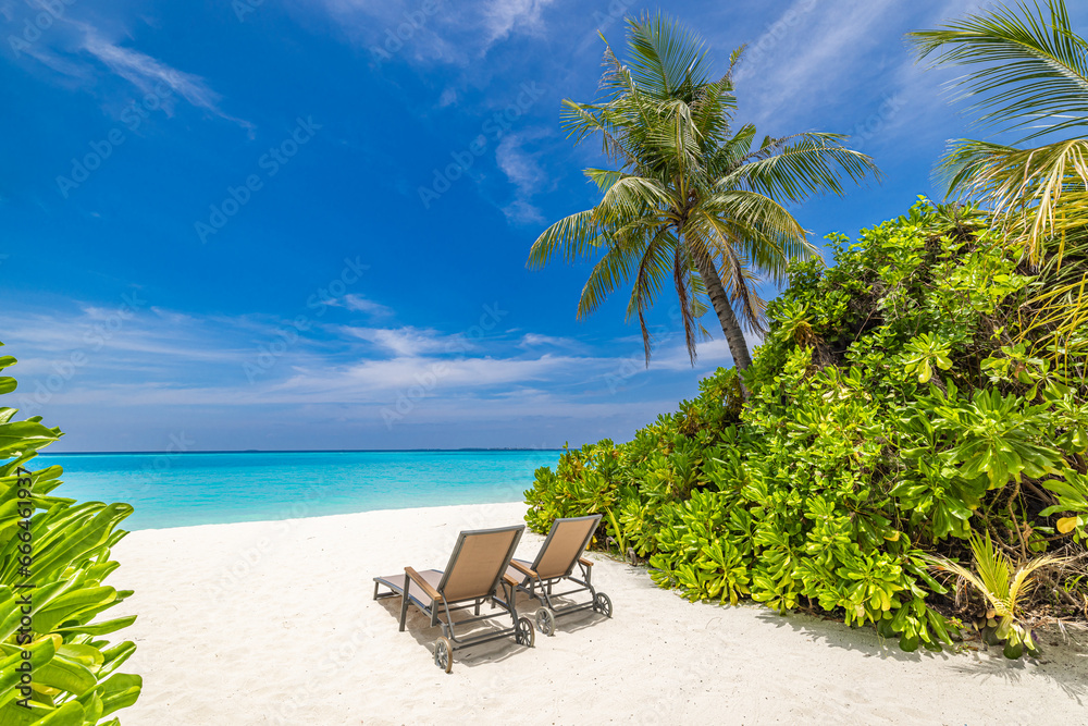 Best beach vacation background. Couple destination, coconut palm trees sandy coast leisure wellbeing panorama. Tropical landscape, summer travel popular scene. Tranquil chairs umbrella sunny paradise