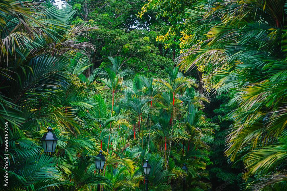 Singapore Botanical Gardens Singapore Botanical Gardens