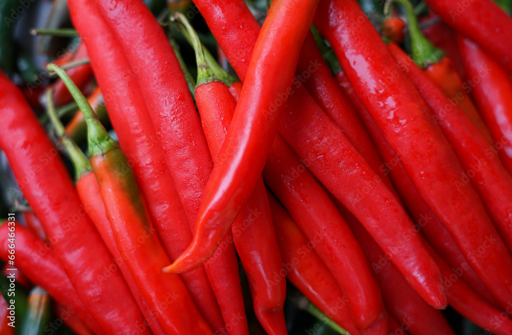 Closed up group of red chili pepper freshness with droplets on raw food  , vegetable in the kitchen background         