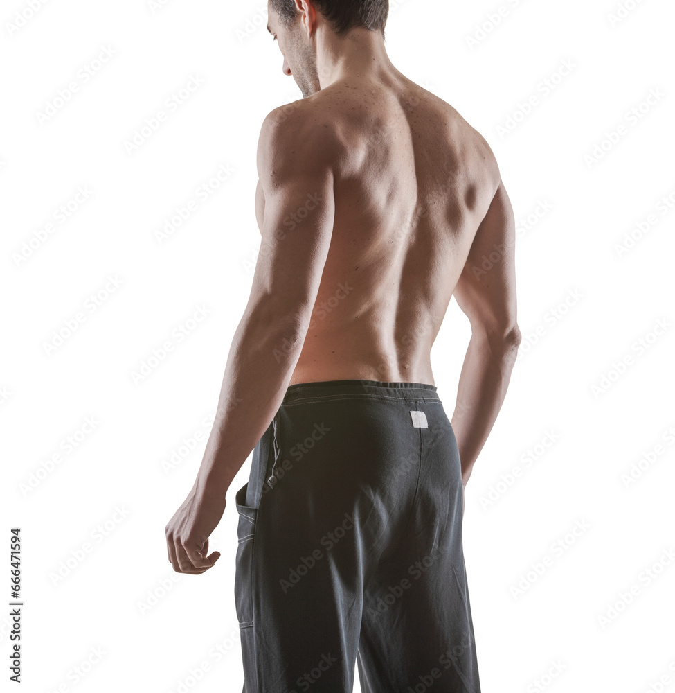Fototapeta premium Attractive muscular sensual man posing back view
