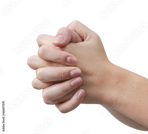 фотографія Young woman's hands clasped isolated