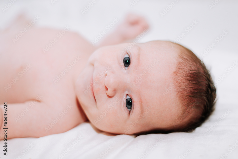 portrait of a newborn in studio lighting against white portrait of a newborn in studio lighting against white
