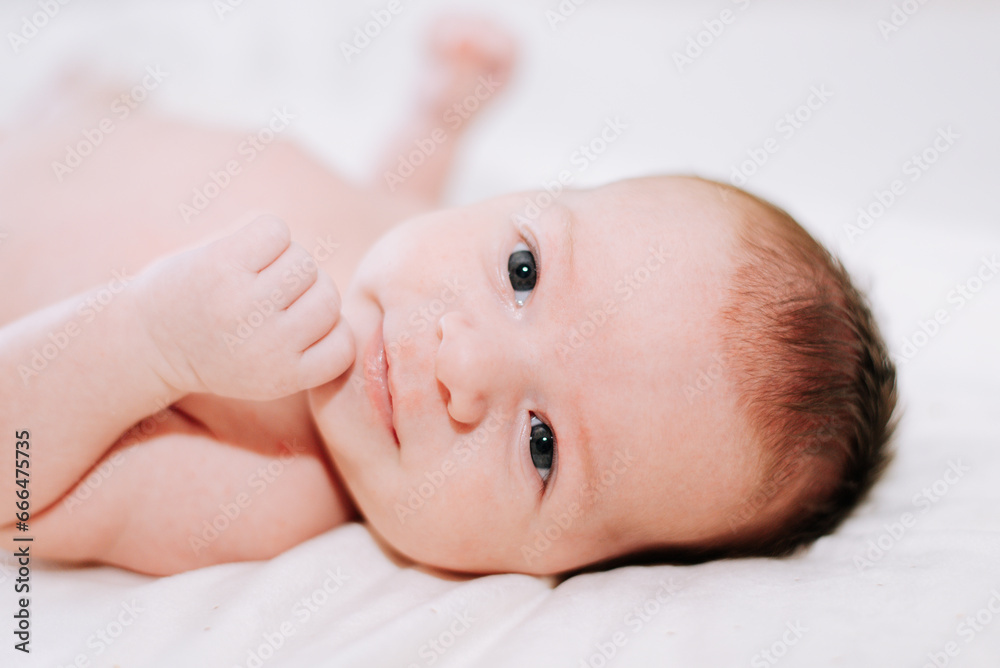 portrait of a newborn in studio lighting against white portrait of a newborn in studio lighting against white