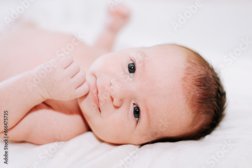 portrait of a newborn in studio lighting against white