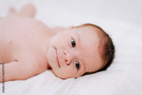 portrait of a newborn in studio lighting against white