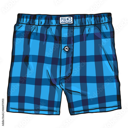 Vector Cartoon Checkered Blue Male Underwear.