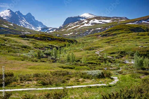 Ekrehytta mountain range seen from Turtagro, Norway at Jotunheimen National Park, with clear skies during a summer day. photo