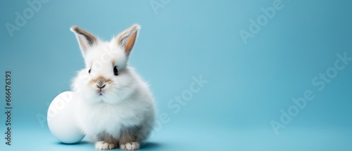 Easter Bunny Delight: A Fluffy Friend on a Blue Background © pierre