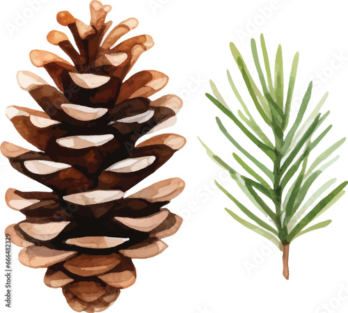 Childishly drawn cute watercolor Christmas pine cones on white background