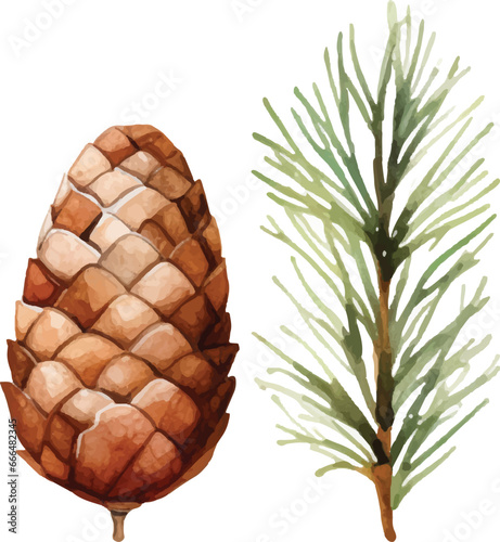 Childishly drawn cute watercolor Christmas pine cones on white background