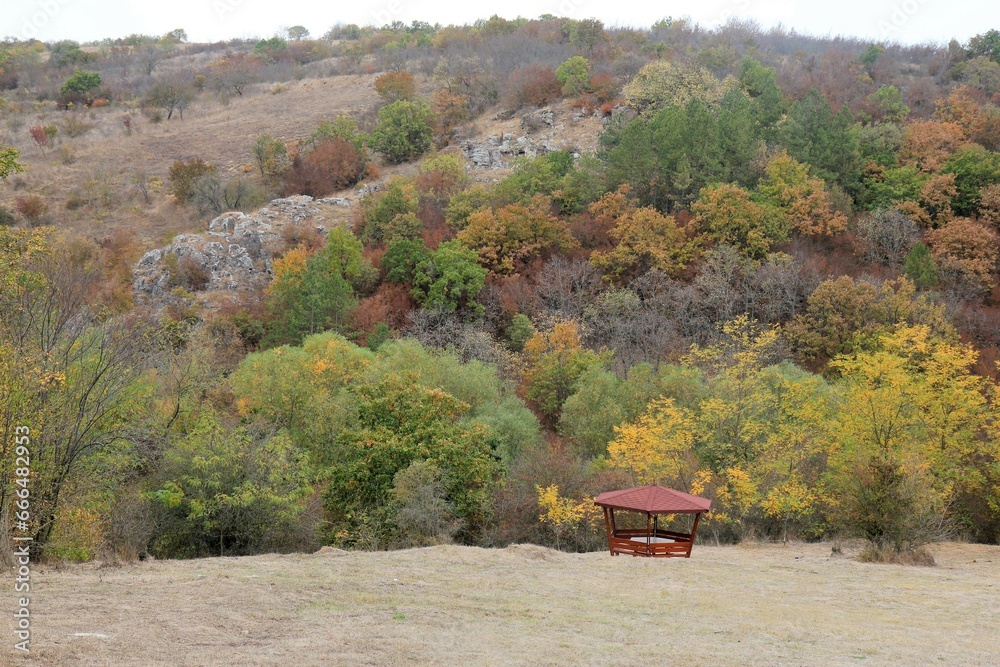 Wooden gazebo on the background of a picturesque autumn forest in the vicinity of Beloslav in Bulgaria
Wooden gazebo on the background of a picturesque autumn forest in the vicinity of Beloslav in Bulgaria