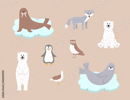 Cute Arctic animals. Vector illustration with funny polar animals. Polar bear walrus seal seagull scribe owl.