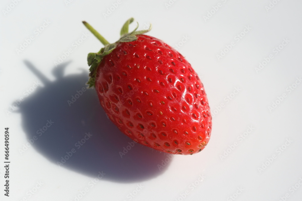strawberry on a white background strawberry on a white background