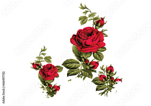 illustration of a rose  Rose logo  vector  line art  sketch rose logo  flower logo  rose set  background. vector logo