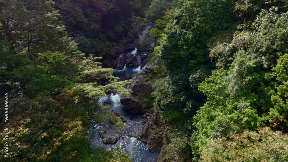 Scenery of a mountain stream in the forest. Scenery of a mountain stream in the forest.