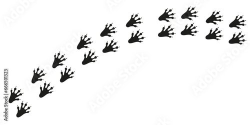 Squirrel paws. Animal foot traces. Squirrel black footprints on white background. Flat vector illustration. Design for print, decoration, childrens educational book