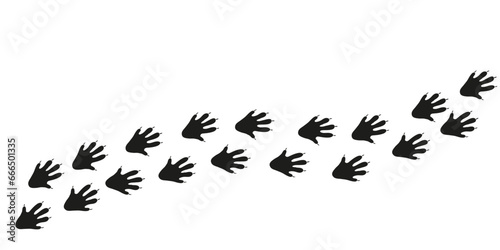 Hedgehog paws. Animal foot traces. Hedgehog black footprints on white background. Flat vector illustration. Design for print, decoration, childrens educational book