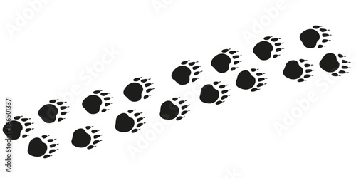 Badger paws. Animal foot traces. Badger black footprints on white background. Flat vector illustration. Design for print, decoration, childrens educational book