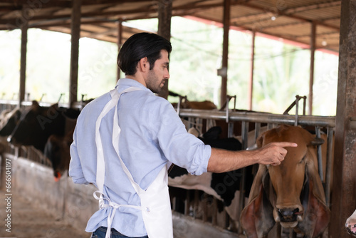 Portrait of white farmer man standing, holding counting and writing data on paper with blur cow farm, Man farmer enjoy his lifestyle working at farm.