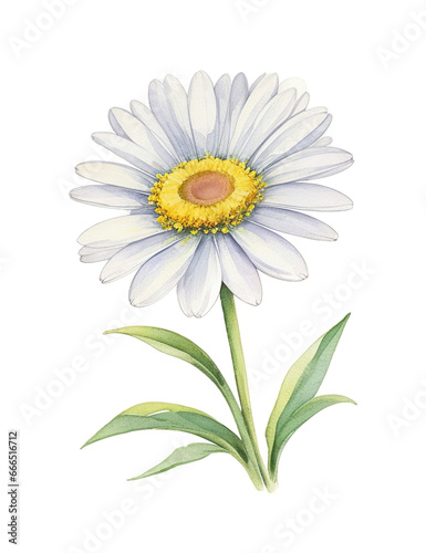 Watercolour daisy flower illustration with nostalgic tones - Generative AI