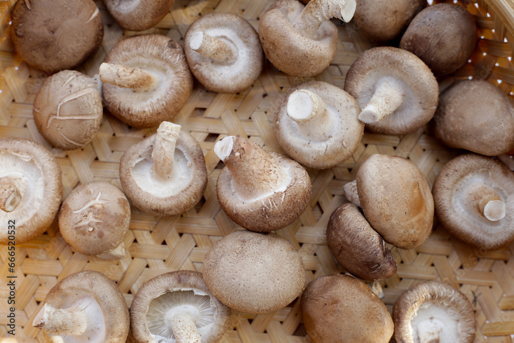 Fresh shiitake mushrooms in bamboo weave plate