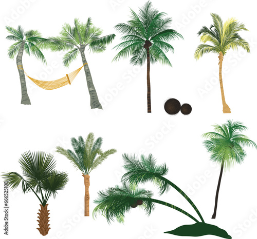 set of tropical palms vector