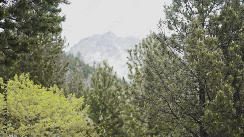 solo male trekker walking in Aigüestortes National Park located in the Catalan Pyrenees Spain solo male trekker walking in Aigüestortes National Park located in the Catalan Pyrenees Spain