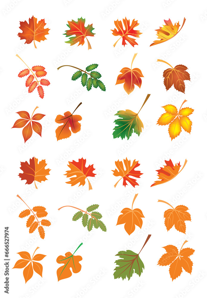 autumn leaves collection autumn leaves collection