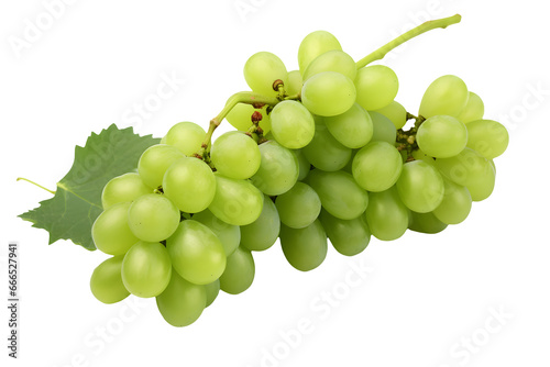 cluster of white grapes on a transparent background