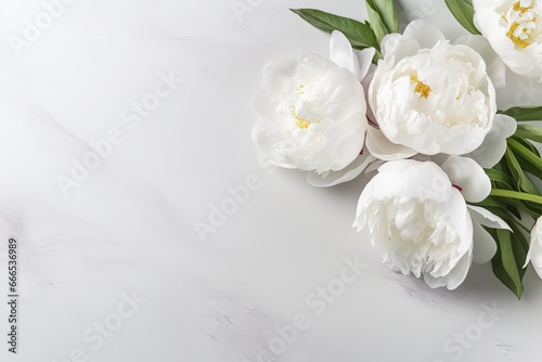 White peony flowers on a gray table Space for emotive text Close up shot