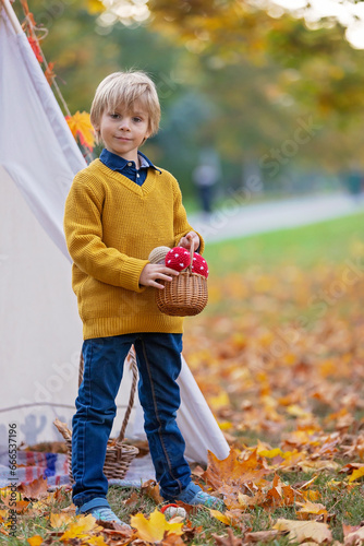 Cute blond child  boy  playing with knitted toys in the park  autumntime