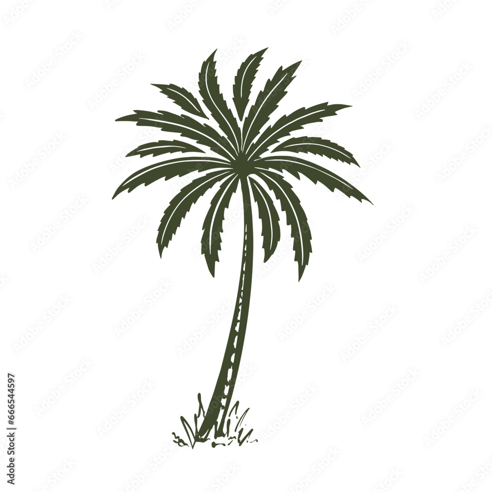 Obraz premium Palm tree hand drawn in sketch style. Illustration for advertising summer travel. Isolated on white background. Vector.