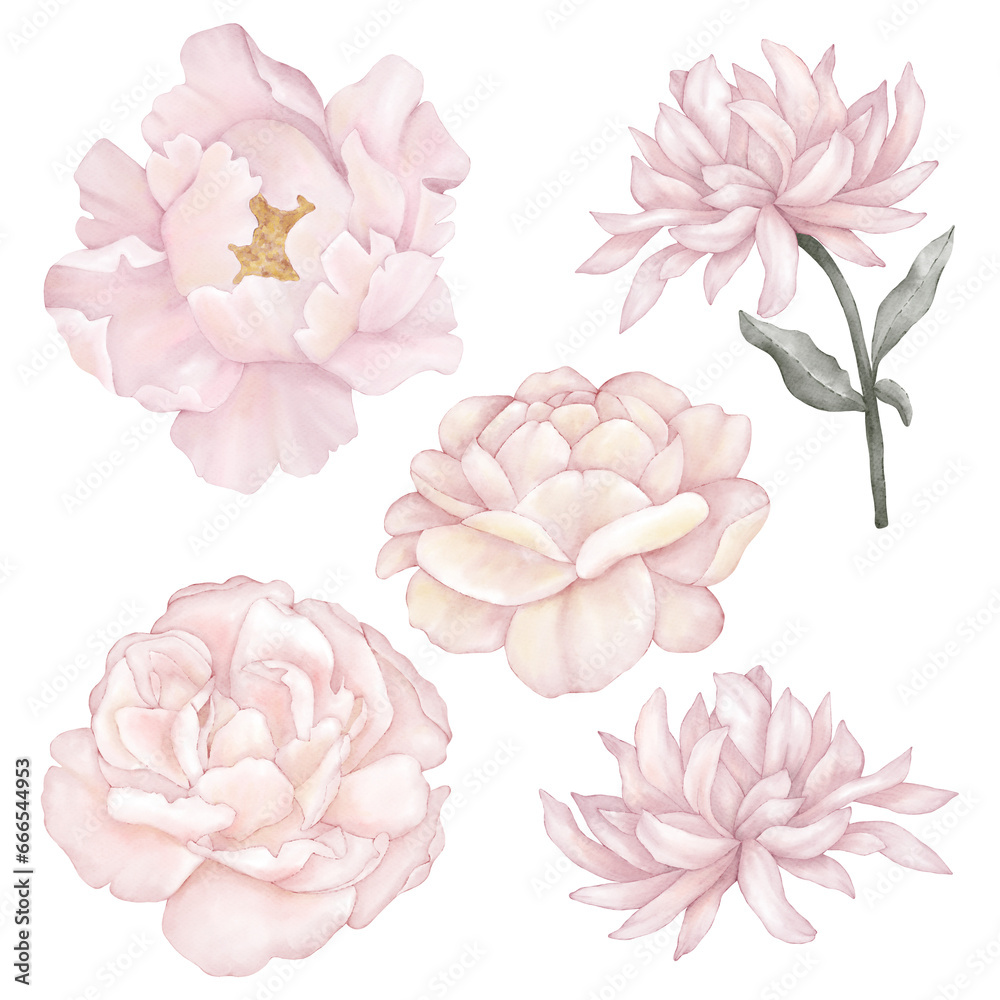 Naklejka premium Set of beautiful pink flowers