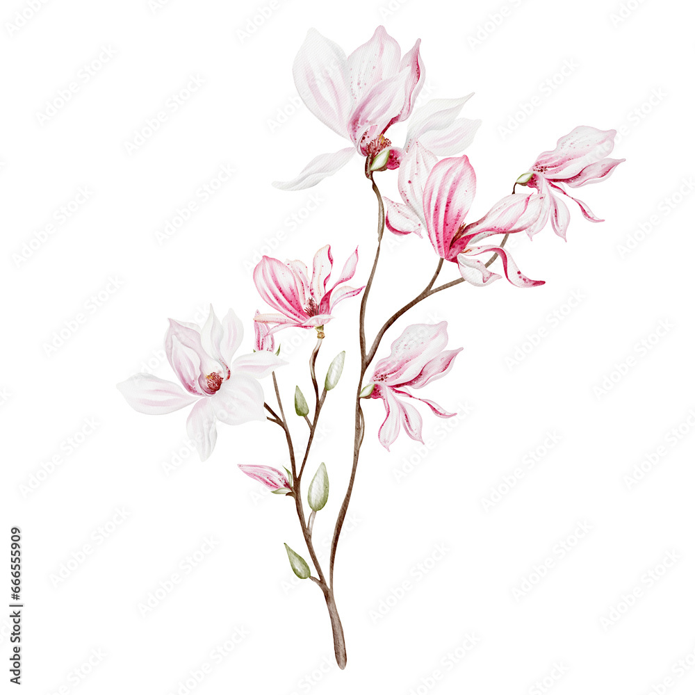 Watercolor wedding magnolia bouquet. Watercolor wedding magnolia bouquet.