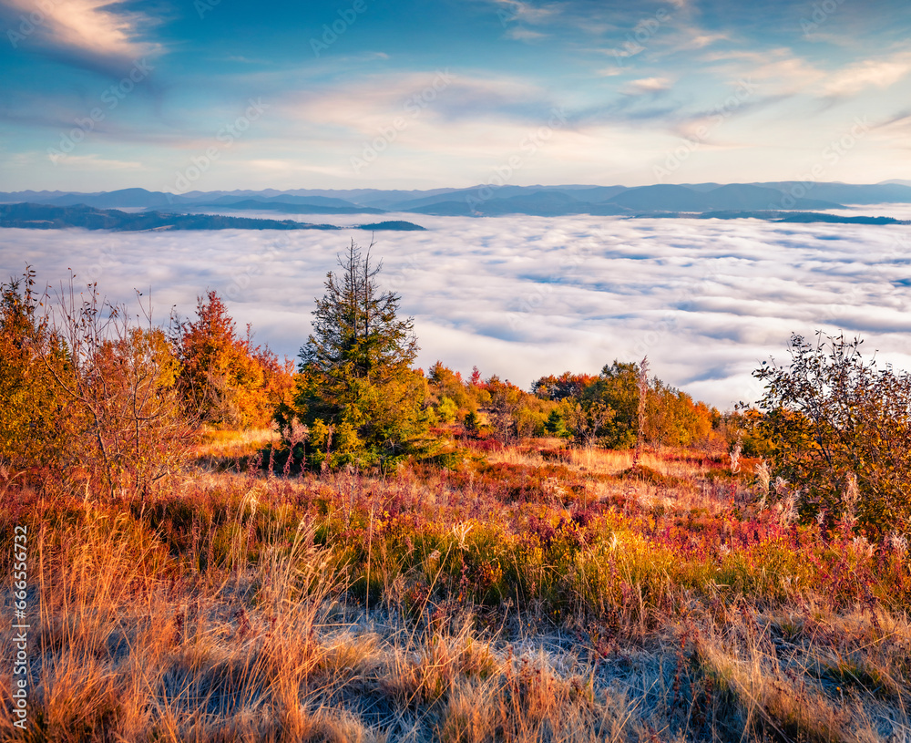 Sunny autumn view of Borzhava mountain range with thre sea of fog. Cold morning scene of Carpathian mountains, Ukraine, Europe. Beauty of nature concept background..