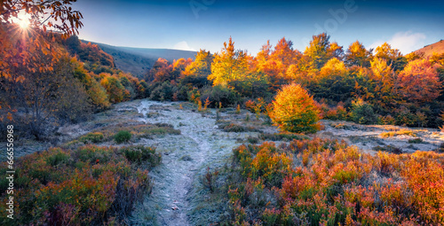 First sunlight gloving frozen grass on the mountain valley. Panoramic autumn view of colorful forest in Carpathian mountains, Pylypets ski resort location, Ukraine, Europe. Beautiful autumn scenery.