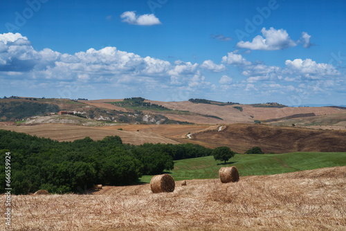 Rural landscape in Tuscany near Pienza photo