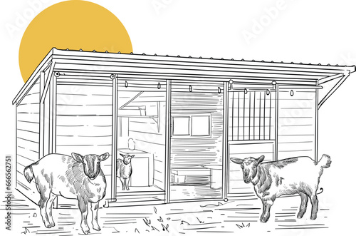 Vintage hand drawn sketch of pygmy goats and barn