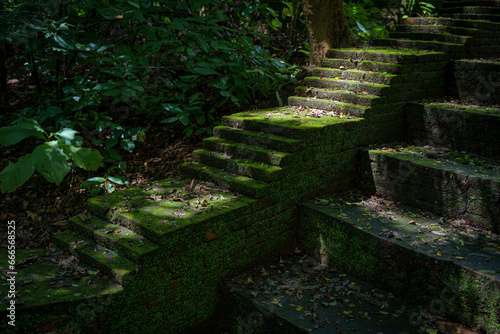 Beautiful Background Textured green natural moss covered the old part ancient Abandoned Temple of Wat Phra That Theru Chan of Buddhist people has been more than 500 years in Chiang Mai Thailand.