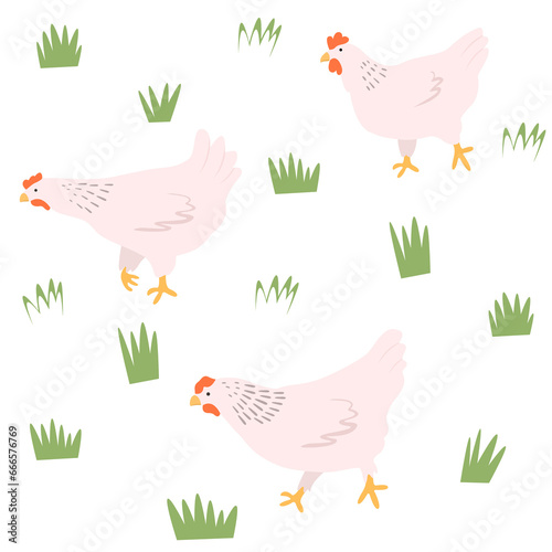Chicks walking on the meadow pattern. Poultry farming 