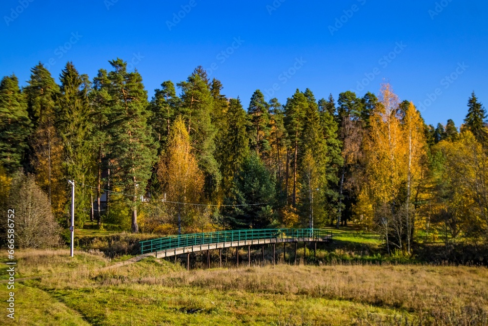 autumn in the forest autumn in the forest