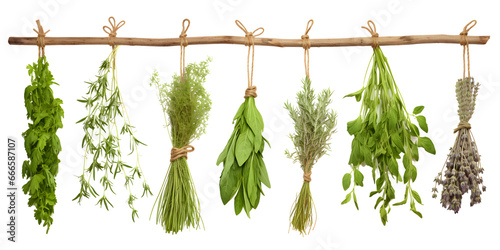 Organic herbs plants and leaves hanging with rope. Generative AI