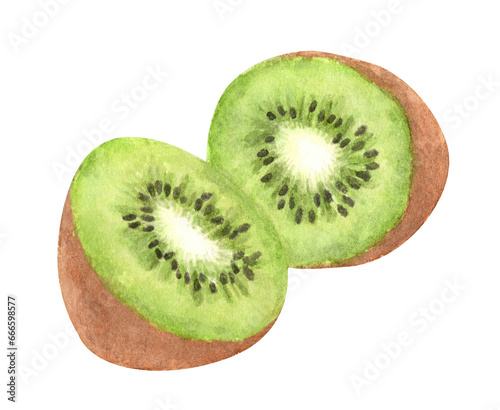 Watercolor painting of Fresh kiwi.